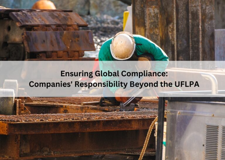 Ensuring Global Compliance: Companies' Responsibility Beyond the UFLPA