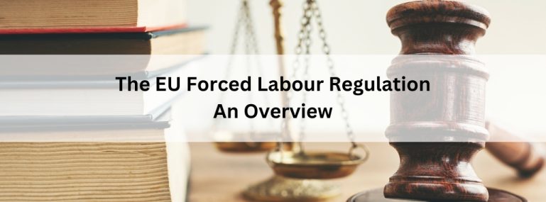The EU Forced Labour Regulation An Overview The EU Forced Labour Regulation An Overview
