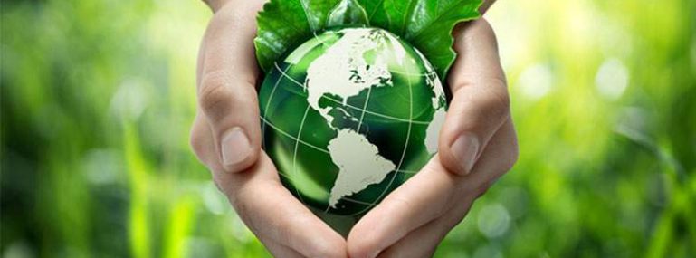 Managed Compliance Program